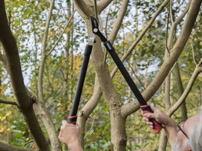 KRTGR4001 - Nůžky na větve