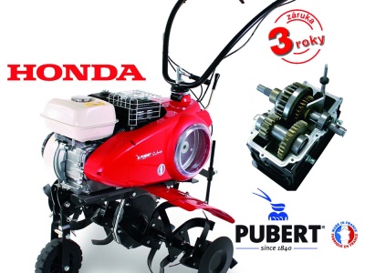 PUBERT QUATRO  JUNIOR V3 60H