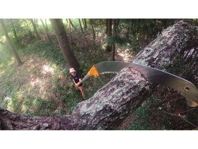 Silky Hayate 7700-6.5 - teleskopická pila