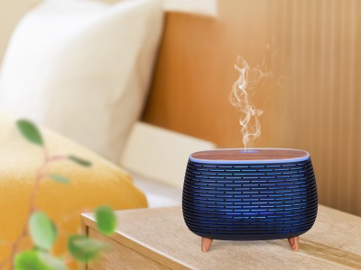 EB1649B - Aromatický difuzér BloomMist