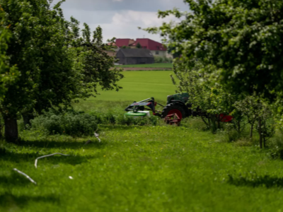 Disková sekačka TALEX  FAST CUT 300