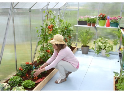 Palram - Canopia Essence 8x12 silver - polykarbonátový skleník