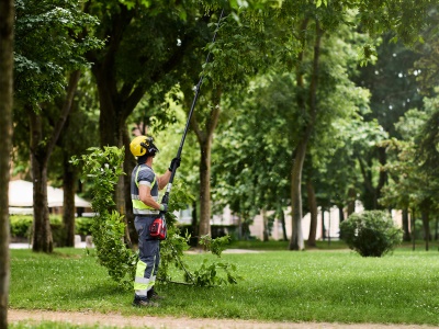 CRAMER OPTIMUS PST39