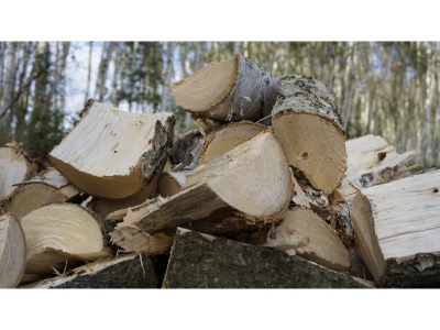 Špalíkovač pro řezání a štípání WOODPECKER RP-300 Remet