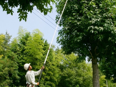 Silky Hayauchi 4900-6.5 - teleskopická pila