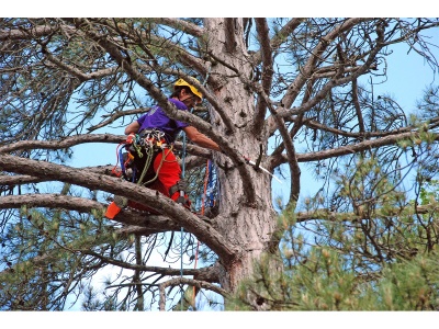 Silky Tsurugi Curve 330-10 - ruční pila