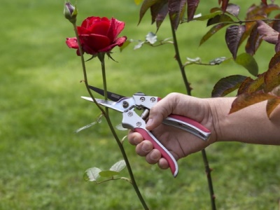 KRTGR1013 - Nůžky zahradnické SK5 205mm přímé AL