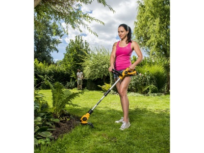 Riwall PRO RALT 2320 SET - vyžínač s aku motorem + 1x 2Ah baterie + nabíječka 20 V