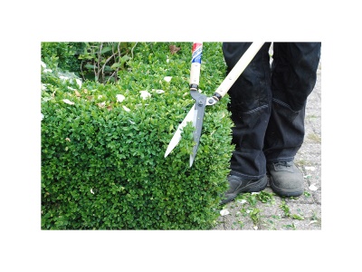 Okatsune 205 - dlouhé plotové nůžky středně velkými čepelemi