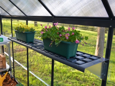 Palram - Canopia Univerzální police - set 2 ks