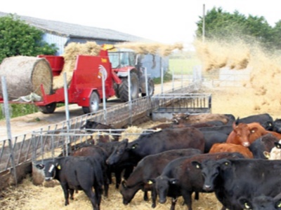 Teagle Tomahawk 1010