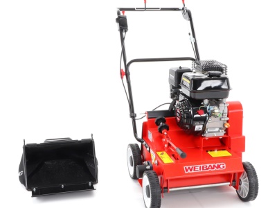 Weibang WB 384 RC