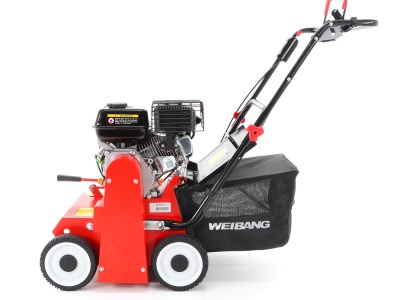 Weibang WB 384 RC