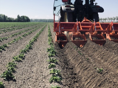 Rotační řádková fréza Row-Fix Struik