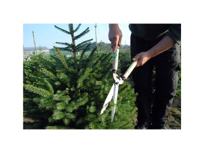 Okatsune 231 - kompaktní plotové nůžky s velkými čepelemi