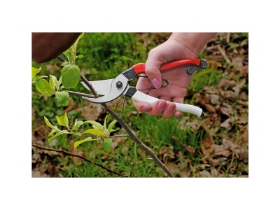 Okatsune 103 - zahradní nůžky pro středně velké ruce