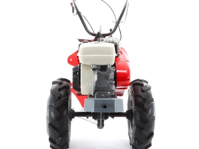 PUBERT QUATRO  JUNIOR V3 60H