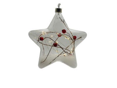 Hvězda Cesmína Crystal