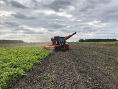 LKB-SHIFT 1500 Struik