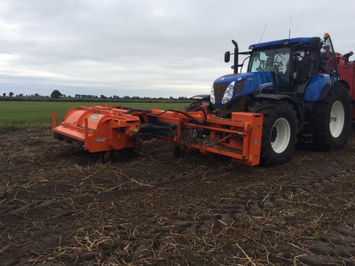 LKB-SHIFT 1500 Struik