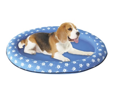 Lehátko nafukovací pro psy