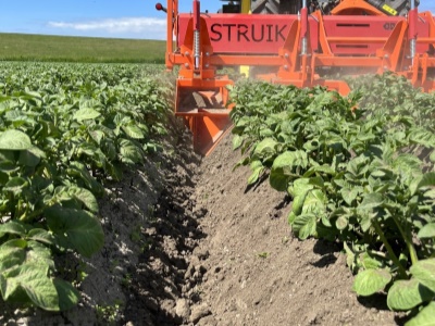 Rotační řádková fréza Row-Fix Struik