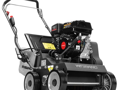 Weibang WB 384 RC