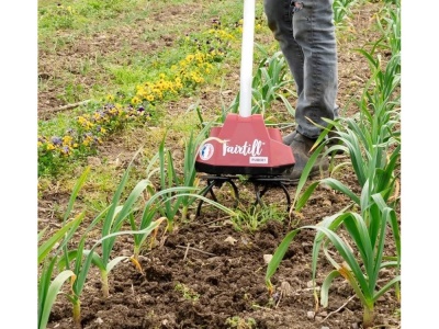 PUBERT FAIRTILL 40V