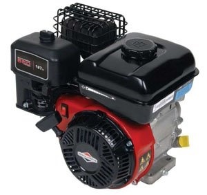Motor Briggs & Stratton pro JAS