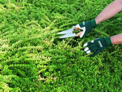 KRTG004ML - G Rukavice s vepřovicí zelené vel. M/L (zahradnické)