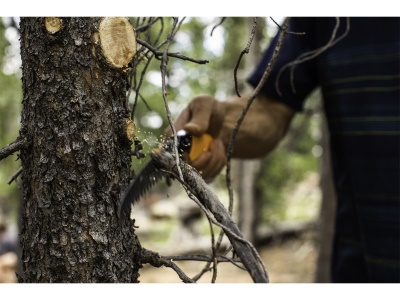 Silky Pocketboy Curve 130-8 - skládací pila