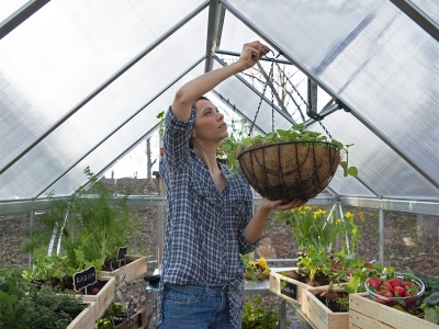 Palram - Canopia Hybrid 6x8 - Polykarbonátový skleník