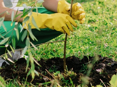 Scheppach EB 2000 - půdní vrták + 2 vrtáky
