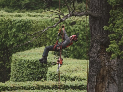 Motorová pila ECHO CS-362TES