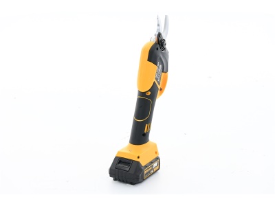 Riwall PRO RAP 3020i SET - aku nůžky na větve 20 V s bezuhlíkovým motorem + 2Ah baterie + nabíječka