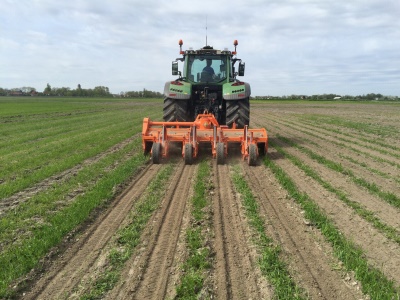 Kultivátor RF STRIP-TILL Struik