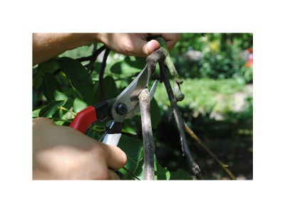 Okatsune 103 - zahradní nůžky pro středně velké ruce