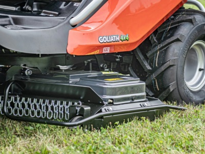Goliath