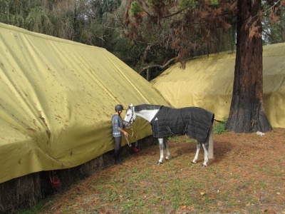 Zakrývací plachta na seno a slámu Subtex 15,6 x 12,5m