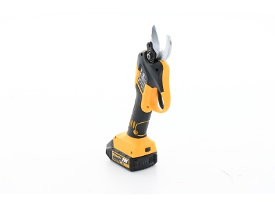 Riwall PRO RAP 3020i SET - aku nůžky na větve 20 V s bezuhlíkovým motorem + 2Ah baterie + nabíječka