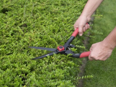 KRTGR3101 - Nůžky na živý plot BUXUS s nastavením tuhosti