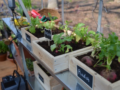 Palram - Canopia Hybrid 6x10 - polykarbonátový skleník