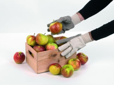 KRTG006XL - G Plátěné rukavice bílé vel. XL (zahradnické)