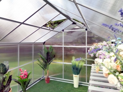 VeGA 6000 STRONG-22