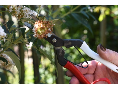 Okatsune 307 - zastřihovací nůžky s krátkými čepelemi