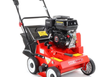 Weibang WB 384 RC
