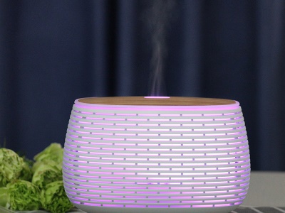 EB1649W - Aromatický difuzér BloomMist