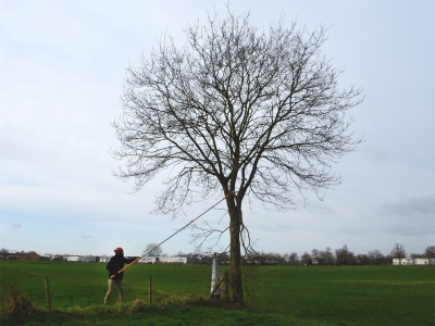 Silky Hayate 5000-6.5 - teleskopická pila