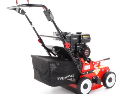 Weibang WB 384 RC
