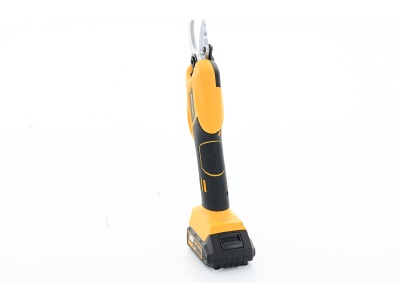 Riwall PRO RAP 3020i SET - aku nůžky na větve 20 V s bezuhlíkovým motorem + 2Ah baterie + nabíječka